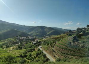 Auf dem Weg nach Favaios