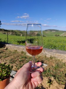 Moscatel do Douro
