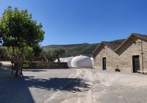 Quinta da Roêda