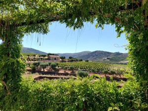 Quinta da Roêda