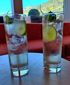 Port Tonic