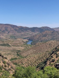 Blick zum Agueda Fluss und Vega de Terrón