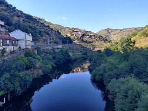 Am Rio Pinhão
