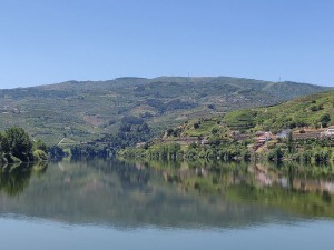 Landschaft bei Régua