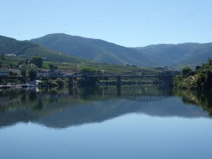 Guten Morgen aus Pinhão!