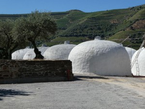 Quinta da Roêda