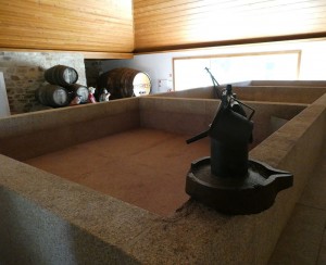 Quinta da Roêda