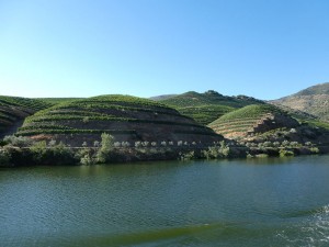 Douro-Fahrt