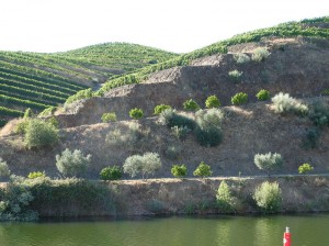 Douro-Fahrt