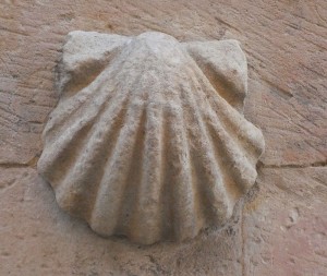 Muschelhaus