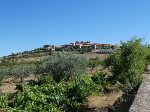 Blick auf Castelo Rodrigo