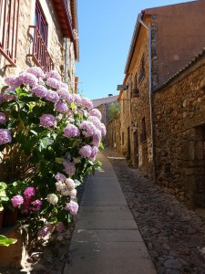 in den Gassen von Castelo Rodrigo