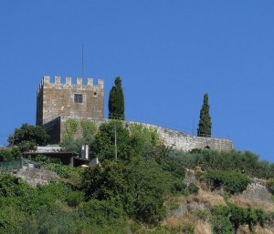 Burg