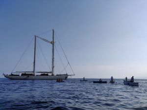 S.Y. Chronos vor Capri