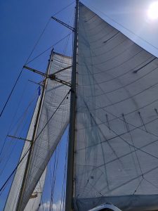 Segeln