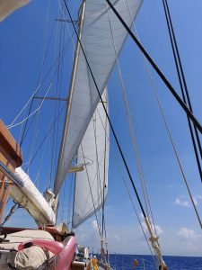 Segeln