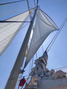 Segeln