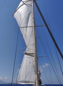 Segeln