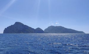 Capri