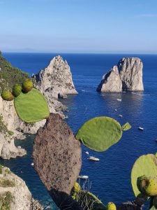 Giardini di Augusto