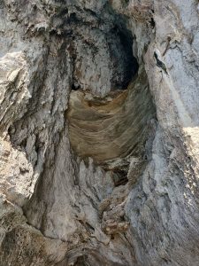 Grotta Bianca