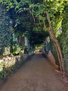unendliche Allee