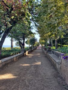 unendliche Allee