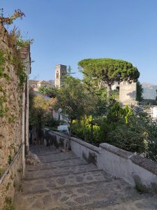 Blick zum Domturm