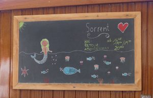 das Tagesprogramm als Kunstwerk
