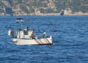 Fischer vor Sant Agnello