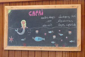 Tagesprogramm