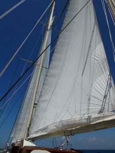 Segeln