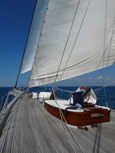 Segeln