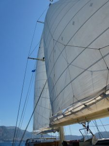 Segeln
