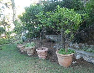Giardini di Augusto