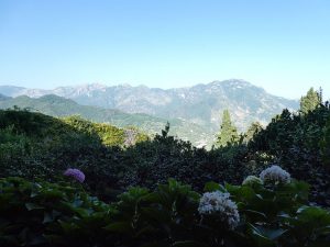 Villa Cimbrone