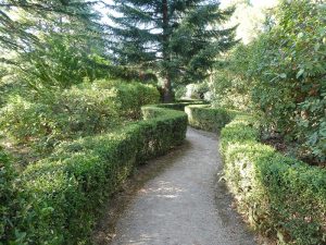 Villa Cimbrone