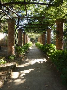 Hortensienallee