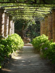 Hortensienallee