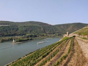 A-Rosa Brava mit Burgruine Ehrenfels und Mäuseturm