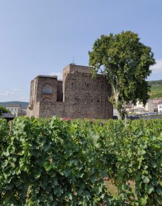 Brömser Burg