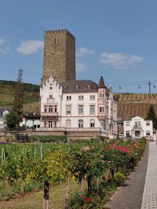 Weingut Carl Jung