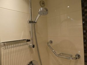 Handbrause mit Ablagen