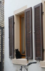 Katze im Fenster