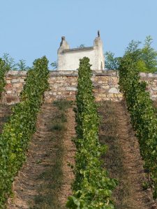 Kapelle im Weinberg