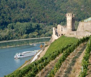 A-Rosa Brava und Burgruine Ehrenfels