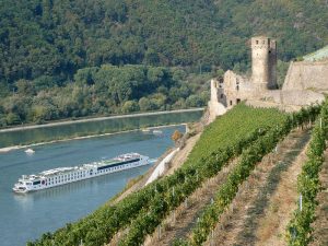 A-Rosa Brava und Burgruine Ehrenfels