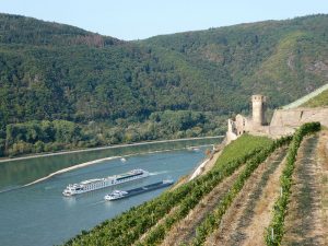 A-Rosa Brava und Burgruine Ehrenfels