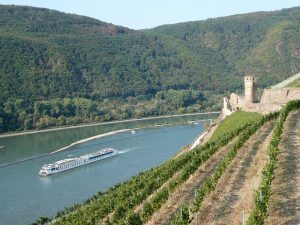 A-Rosa Brava und Burgruine Ehrenfels