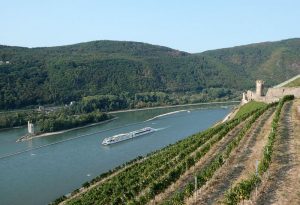A-Rosa Brava mit Burgruine Ehrenfels und Mäuseturm